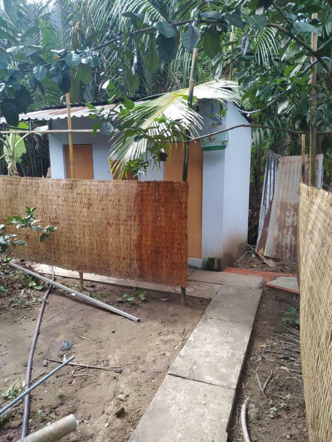 Mecong Homestay Ben Tre Екстер'єр фото