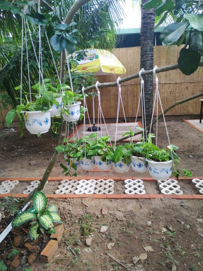 Mecong Homestay Ben Tre Екстер'єр фото